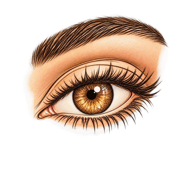 Beautiful Eye